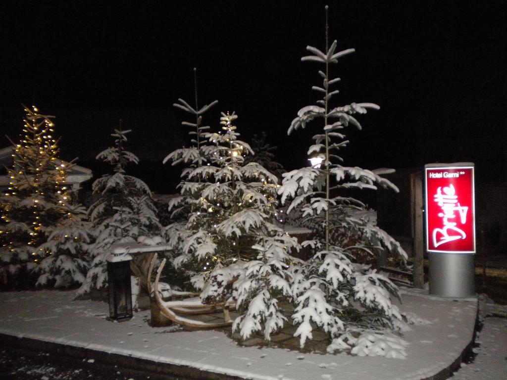 Hotel Garni Brigitte Bürserberg Zewnętrze zdjęcie