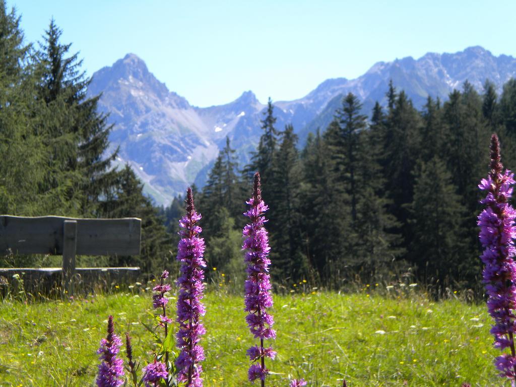Hotel Garni Brigitte Bürserberg Pokój zdjęcie