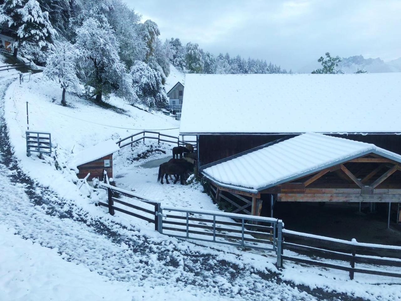 Hotel Garni Brigitte Bürserberg Zewnętrze zdjęcie